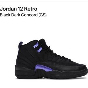 OG Retro Jordan 12 Dark Concord Grape